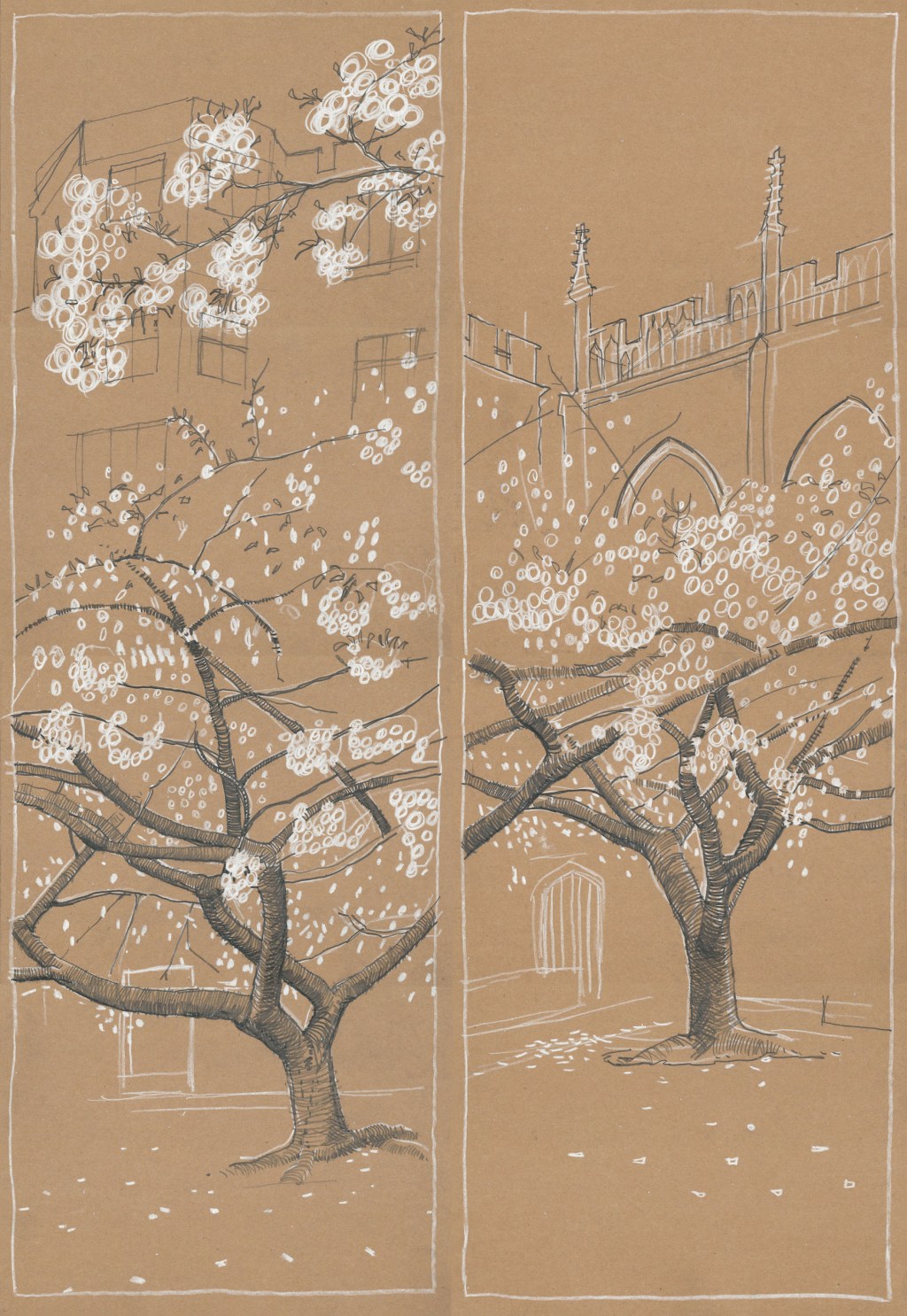 sketching the cherries