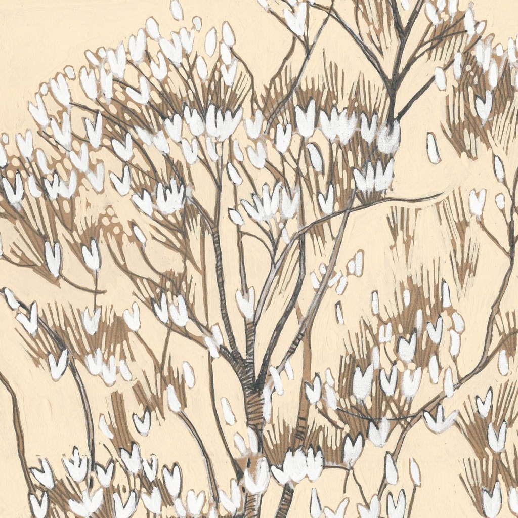 magnolia in the&nbsp;sun