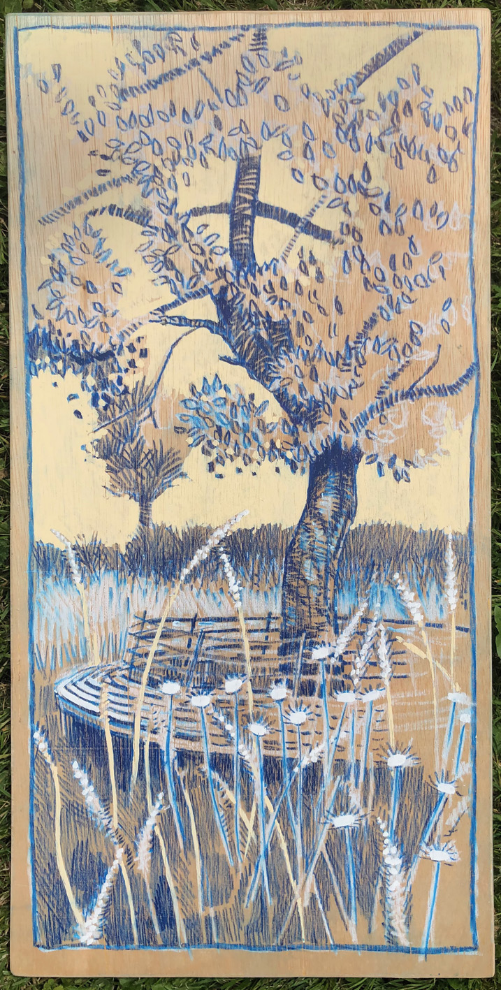 Tree-seat on the Common